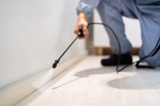 Licensed Rodent Control service in Shiawassee County County, MI - Nex Pest Control